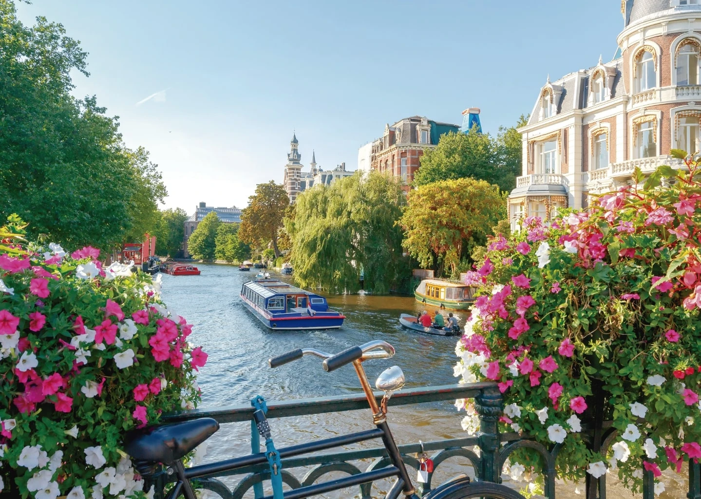 Best places to stay in Amsterdam - Get up to 23% off | CuddlyNest