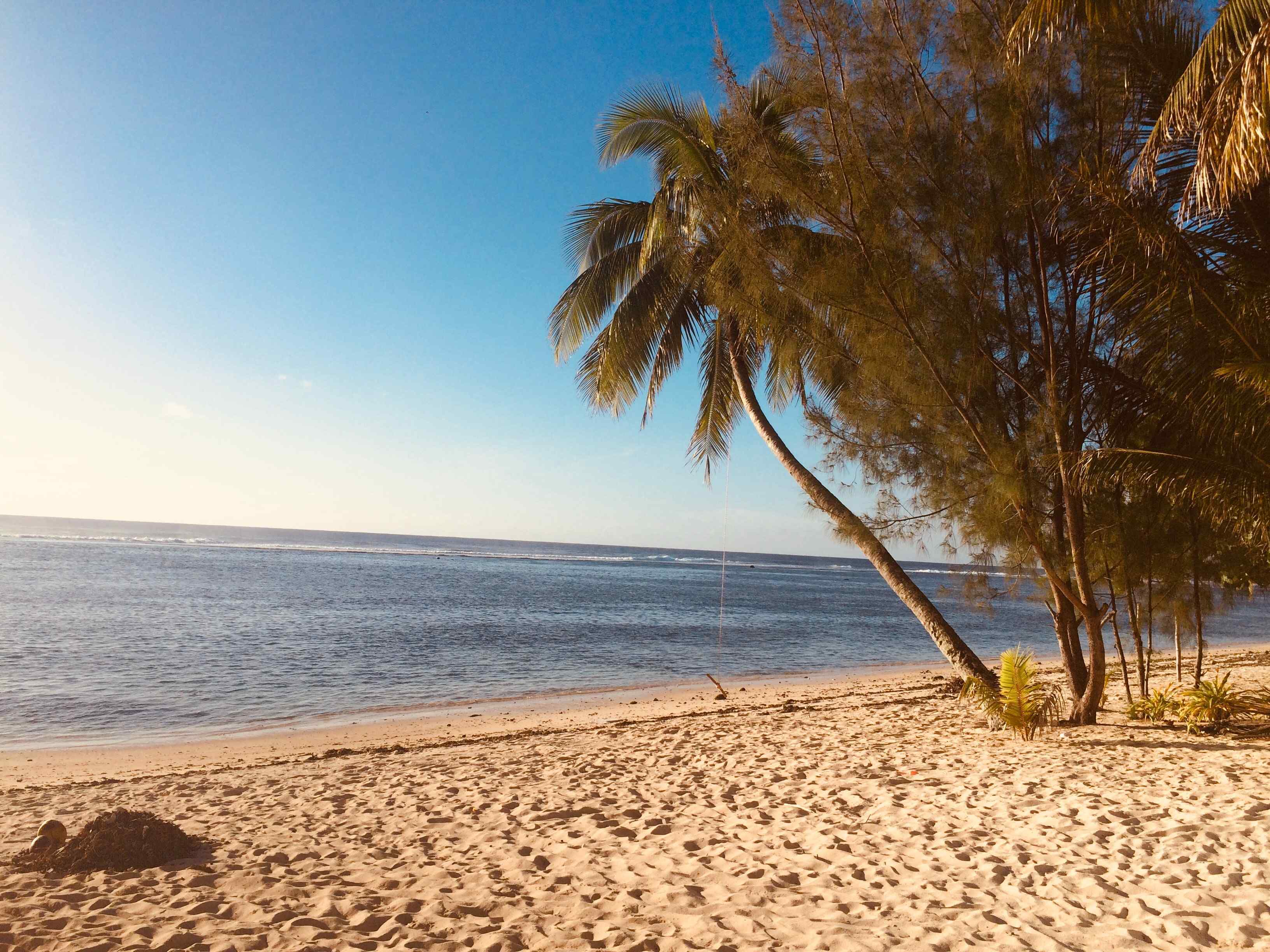 Find the best accommodations & places to stay in Cook Islands - CuddlyNest.