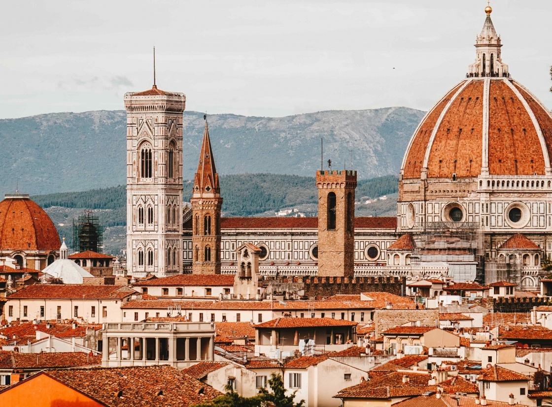 Best places to stay in Florence - Get up to 23% off | CuddlyNest