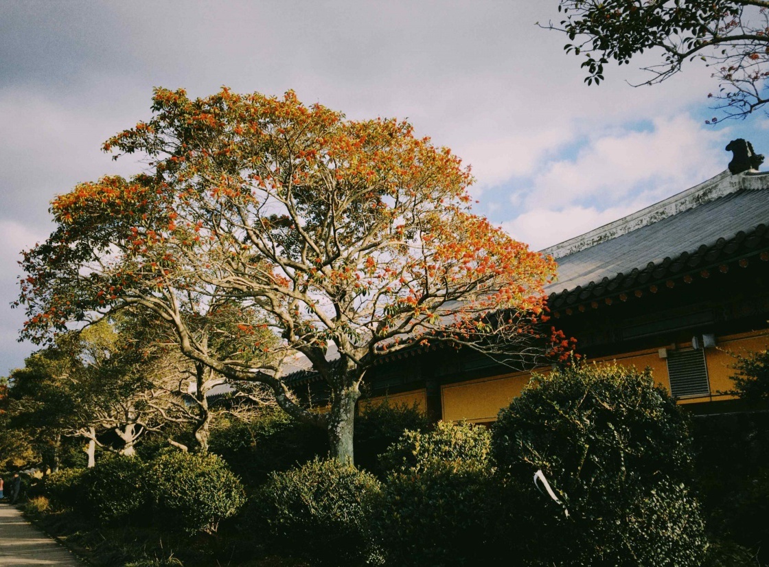 Best places to stay in Jeju - Get up to 23% off | CuddlyNest