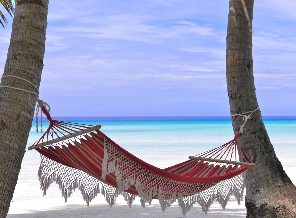 Find the best accommodations & places to stay in Maldives - CuddlyNest.