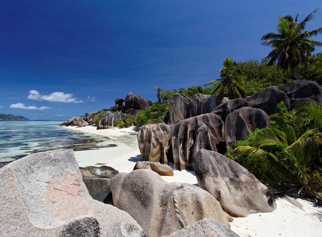 Find the best accommodations & places to stay in Seychelles - CuddlyNest.
