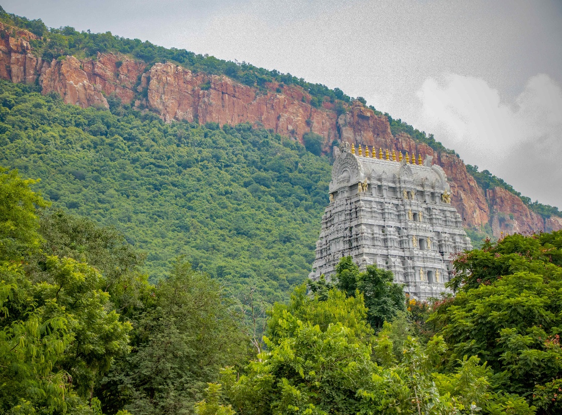 Best places to stay in Tirupati - Get up to 23% off | CuddlyNest