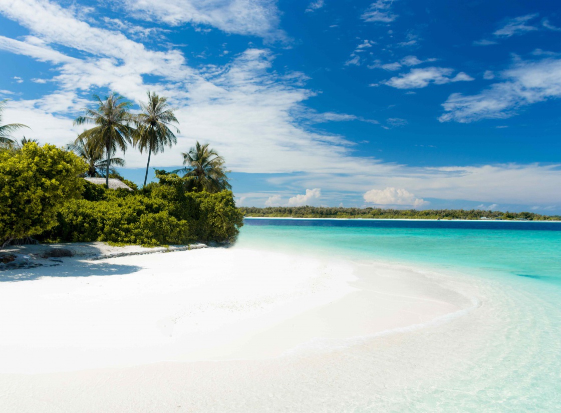 Trinidad and Tobago image
