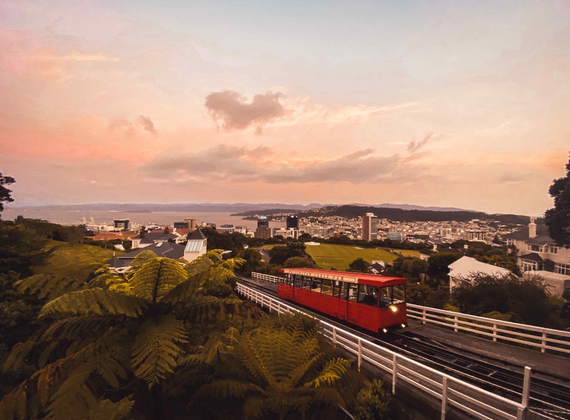 Best places to stay in Wellington - Get up to 23% off | CuddlyNest